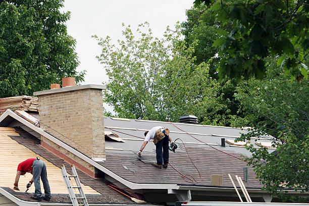 Best Roof Gutter Cleaning  in Pecan Grove, TX